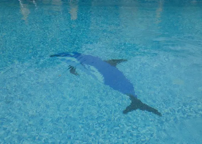 منتجع Family Yalta влас 3*